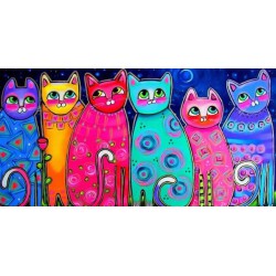 Kolorowe koty obrazy na...