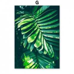 Zielone rośliny Palm...