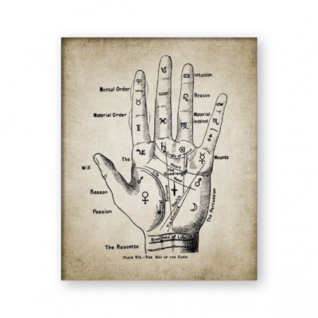 Palmistry ręcznie na...