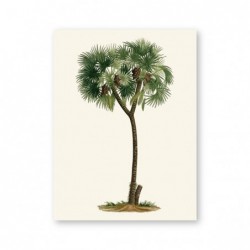 Tropikalne palmy w stylu...