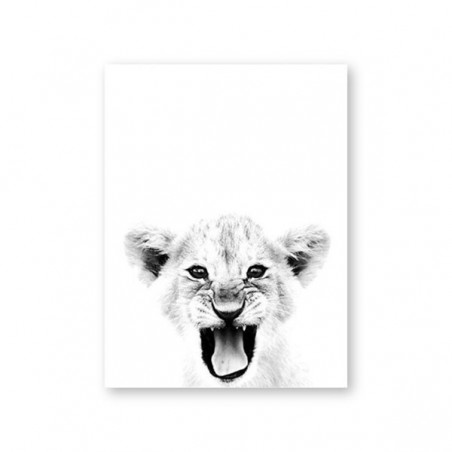 Baby Lion plakat i druk...