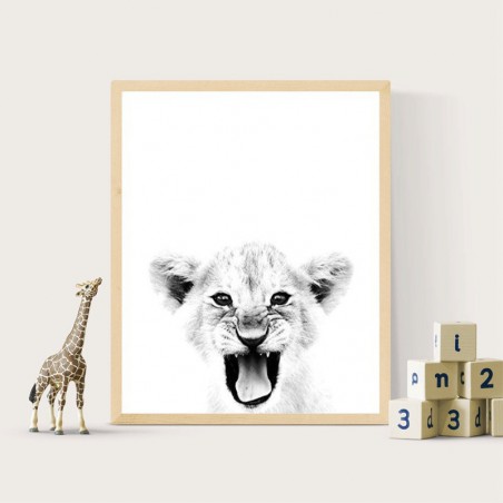 Baby Lion plakat i druk...