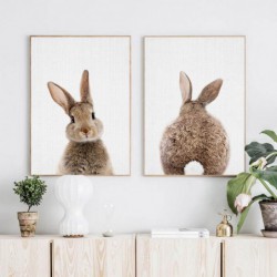 Bunny ogon królika Wall Art...