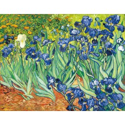 Van Gogh irysy kwiatowe...