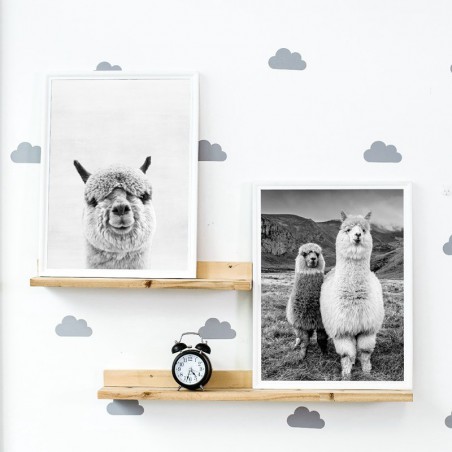 Zwierząt Alpaca drukowany...