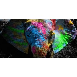 Graffiti pop art słoń...