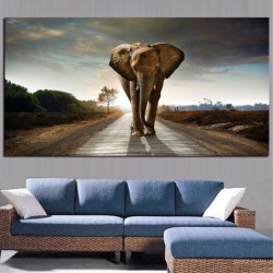 Słoń afrykański zwierząt...
