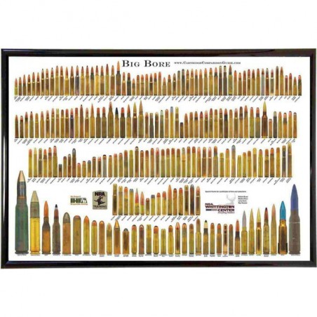 Bore Bullets Chart...