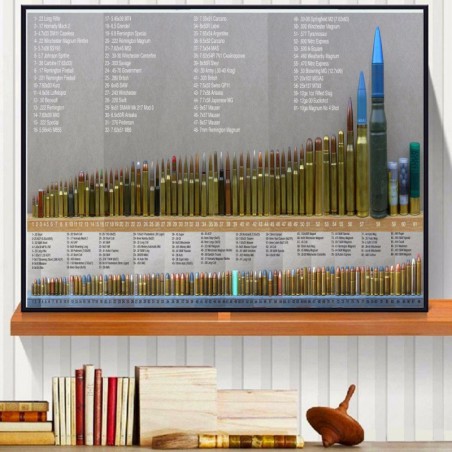 Bore Bullets Chart...