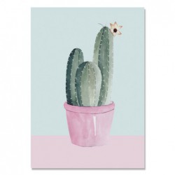 Śliczny różowy kaktus...