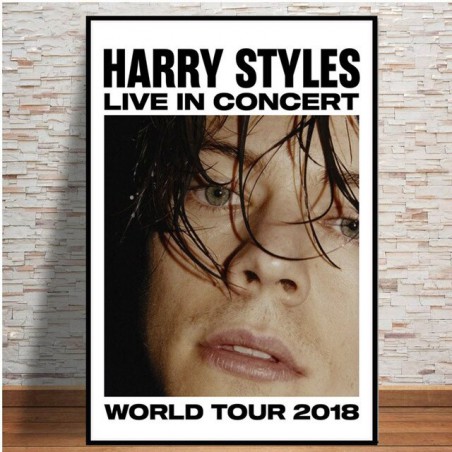 Harry Styles 2018 Tour...