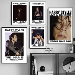 Harry Styles 2018 Tour...