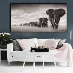 Czarna afryka słonie dzikie...