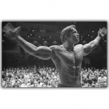 Arnold schwarzenegger...