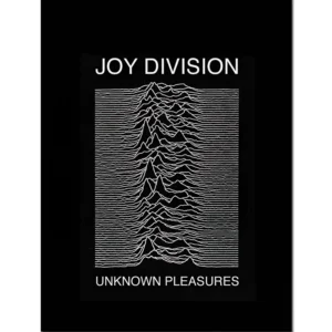 Joy Division Unknown Pleasures plakat As pic