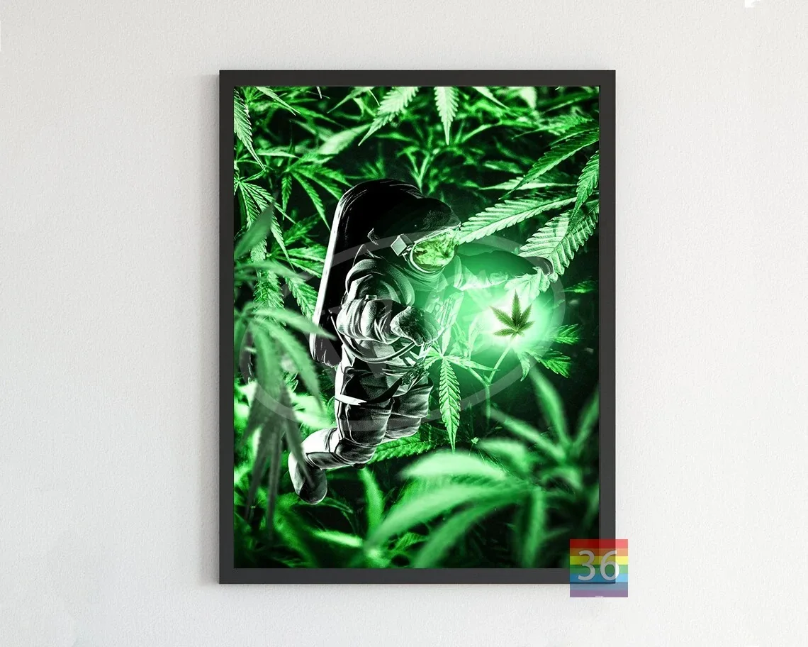 Plakat abstrakcyjny - liście marihuany Q 72 27