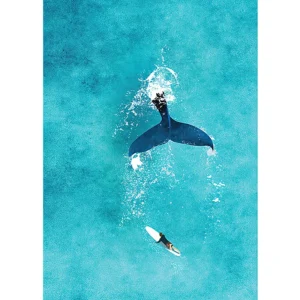 Plakat akwarelowy ocean – rekin i manta Zielony