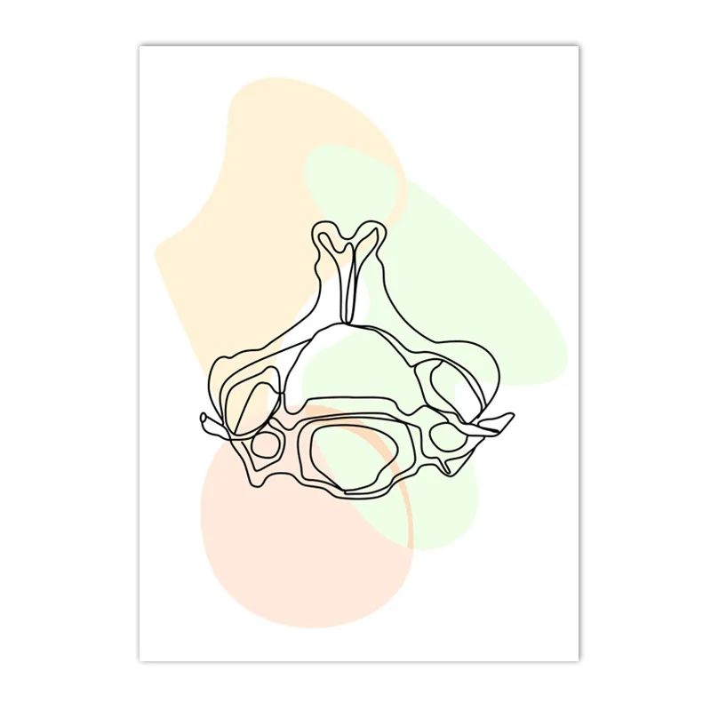 Plakat anatomia człowieka - szkielet i narządy Armijna zieleń