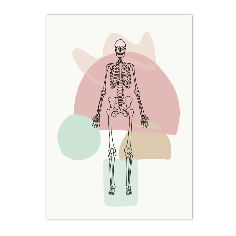 Plakat anatomia człowieka - szkielet i narządy Ciemny szary