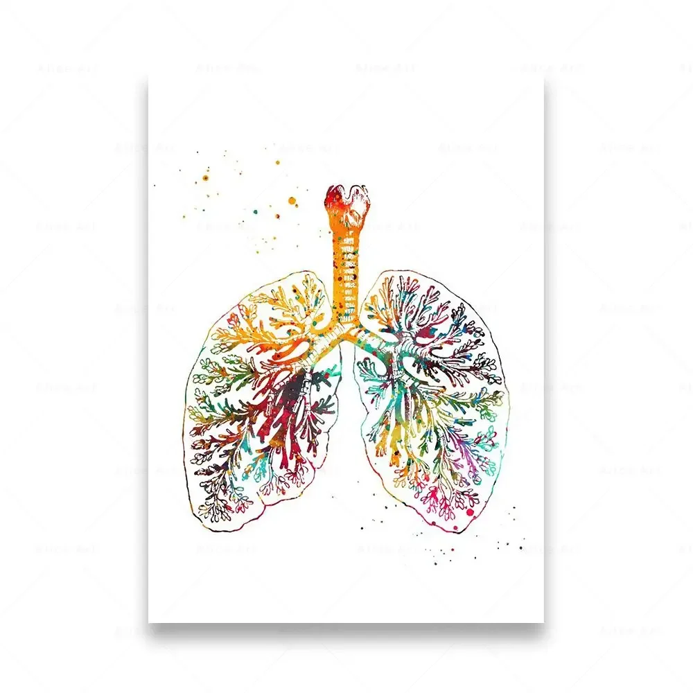 Plakat anatomia człowieka na płótnie Czarny