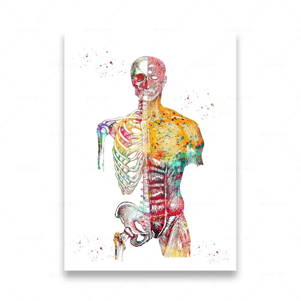 Plakat anatomia człowieka na płótnie Fioletowy