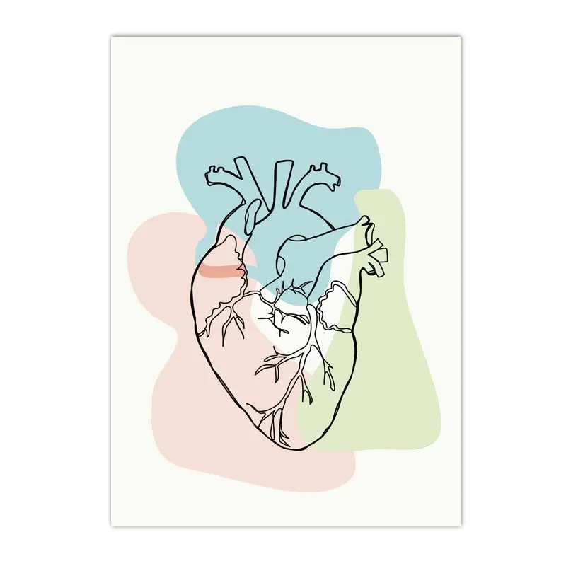 Plakat anatomia człowieka - szkielet i narządy Granatowy