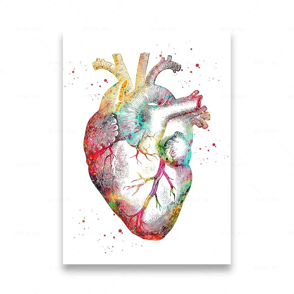 Plakat anatomia człowieka na płótnie Granatowy