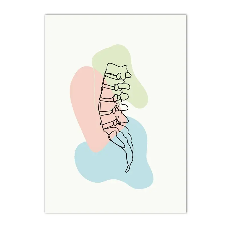 Plakat anatomia człowieka - szkielet i narządy Jasnozielony