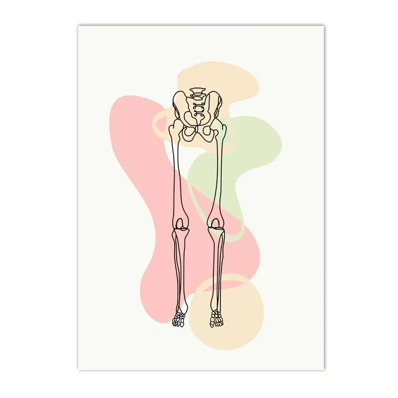 Plakat anatomia człowieka - szkielet i narządy Jasnożółty