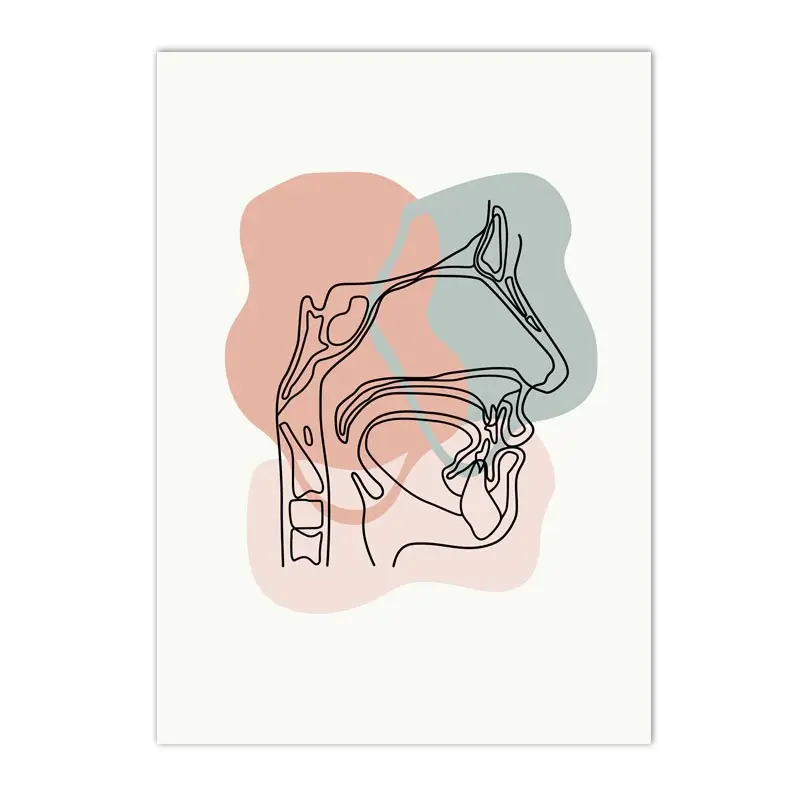 Plakat anatomia człowieka - szkielet i narządy Jasny