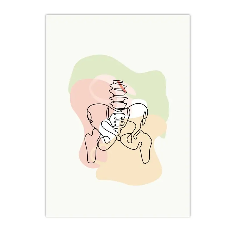 Plakat anatomia człowieka - szkielet i narządy Pomarańczowy
