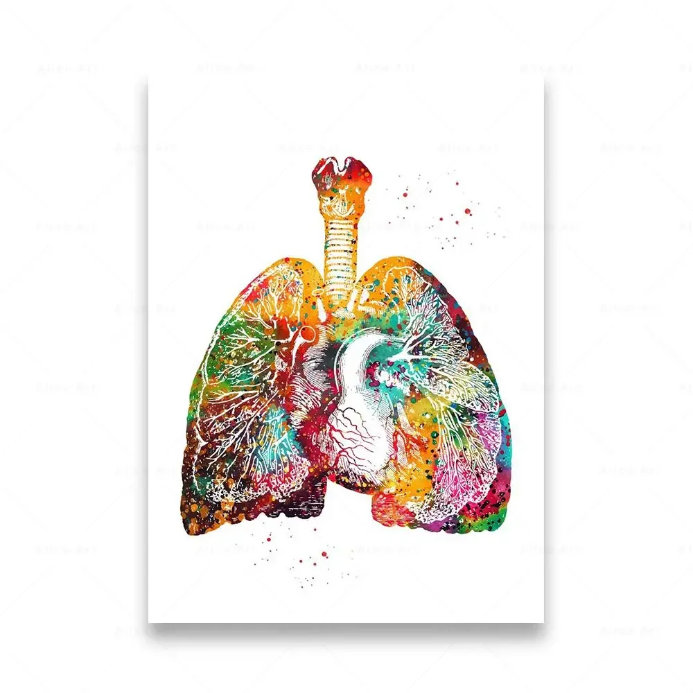 Plakat anatomia człowieka na płótnie Pomarańczowy