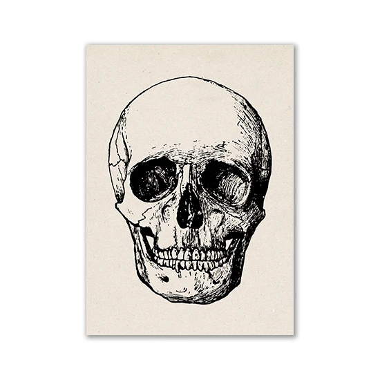 Anatomia człowieka - plakat vintage Khaki