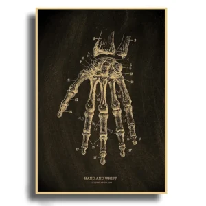 Anatomia serca i czaszki - plakat na papierze kraft Wzór 1