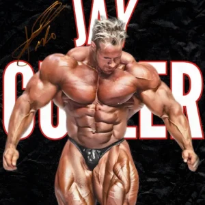 Plakat motywacyjny Arnold Schwarzenegger kulturystyka Granatowy