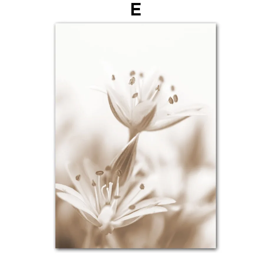 Plakat białe kwiaty - minimalistyczna grafika roślinna Czarny