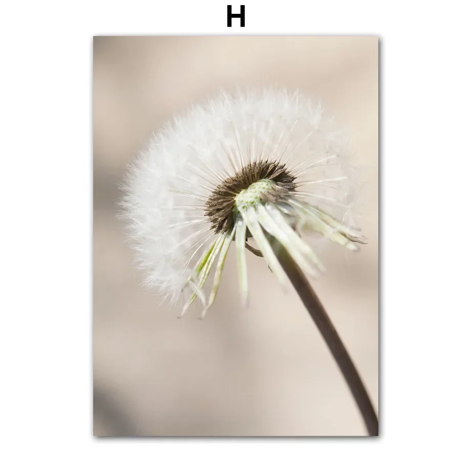 Plakat białe kwiaty - minimalistyczna grafika roślinna Fioletowy