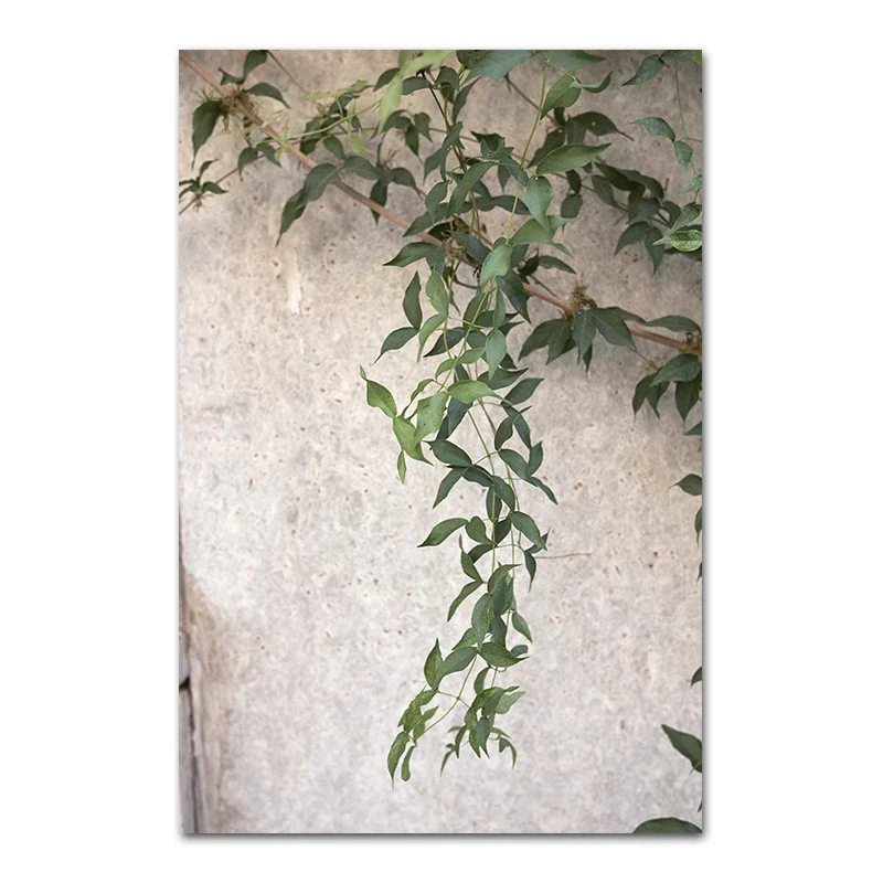 Plakat boho – zielone liście i architektura Picture c