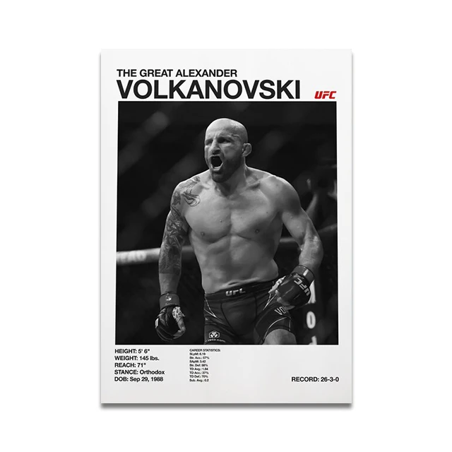 Plakat o tematyce boksu i MMA Wzór 2