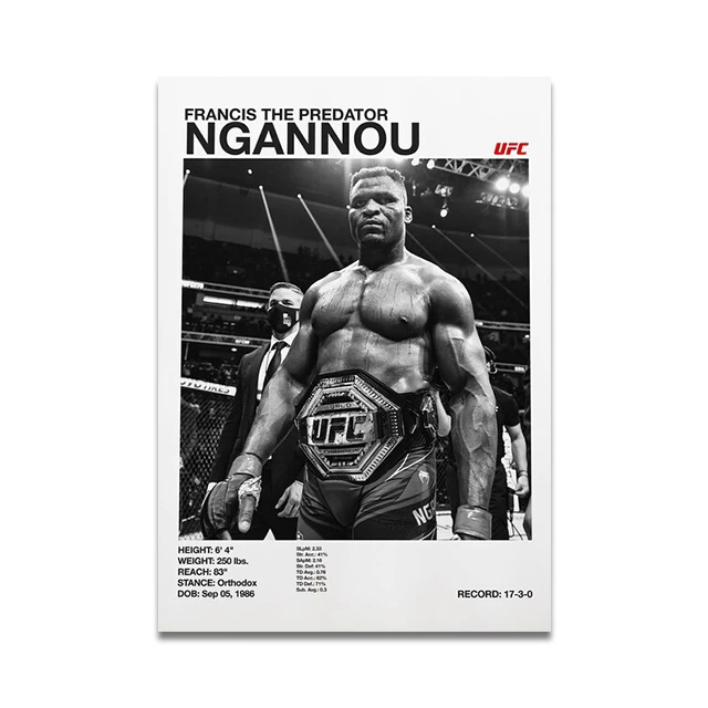 Plakat o tematyce boksu i MMA Wzór 3