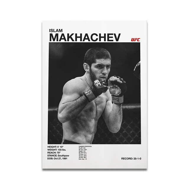 Plakat o tematyce boksu i MMA Wzór 4