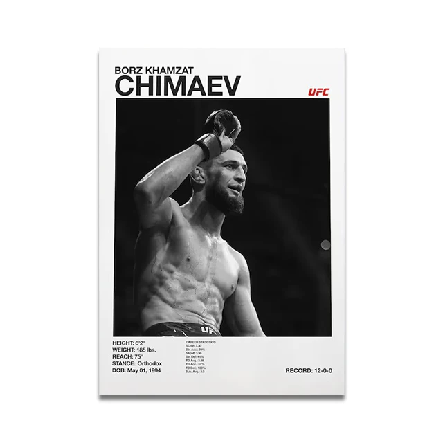 Plakat o tematyce boksu i MMA Wzór 5