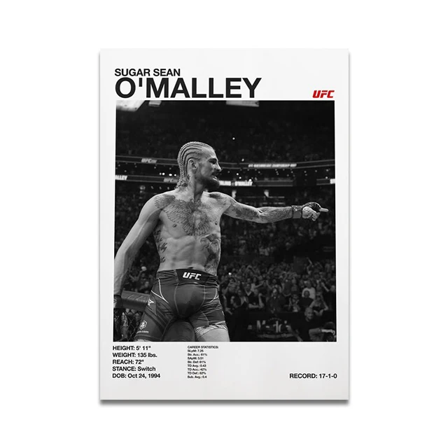 Plakat o tematyce boksu i MMA Wzór 6
