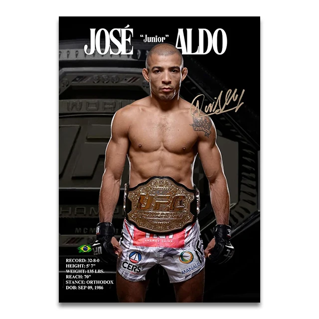 Plakat bokser MMA - sport Wzór 1