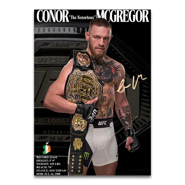 Plakat bokser MMA - sport Wzór 6