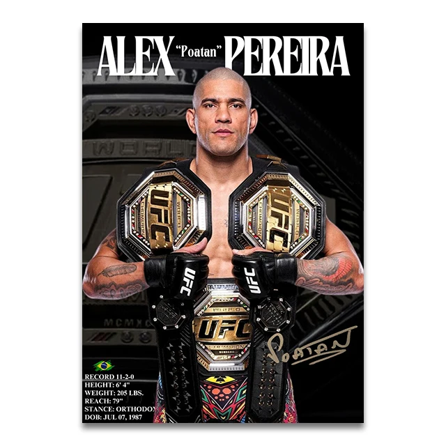 Plakat bokser MMA - sport Wzór 7