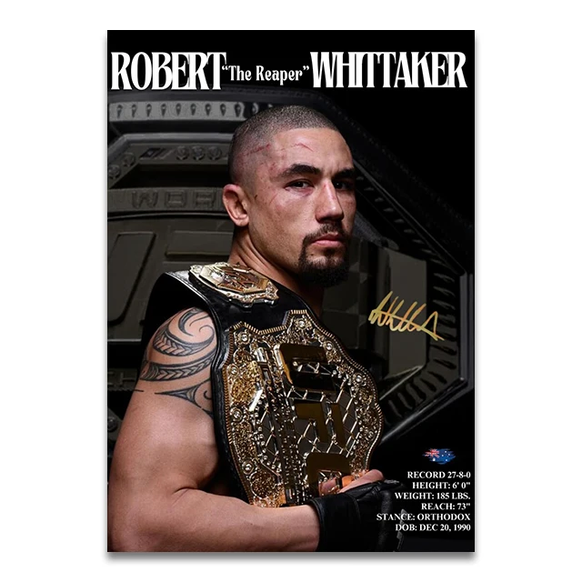 Plakat bokser MMA - sport Wzór 8