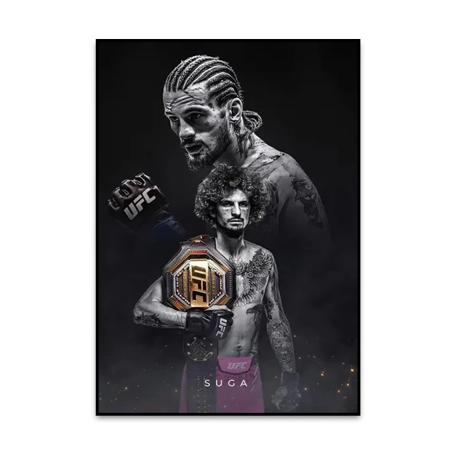 Plakat bokserski MMA Wzór 7