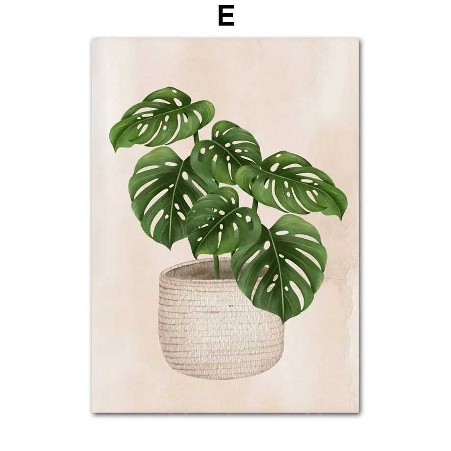 Abstrakcyjny plakat botaniczny boho - monstera i słońce Wzór 8