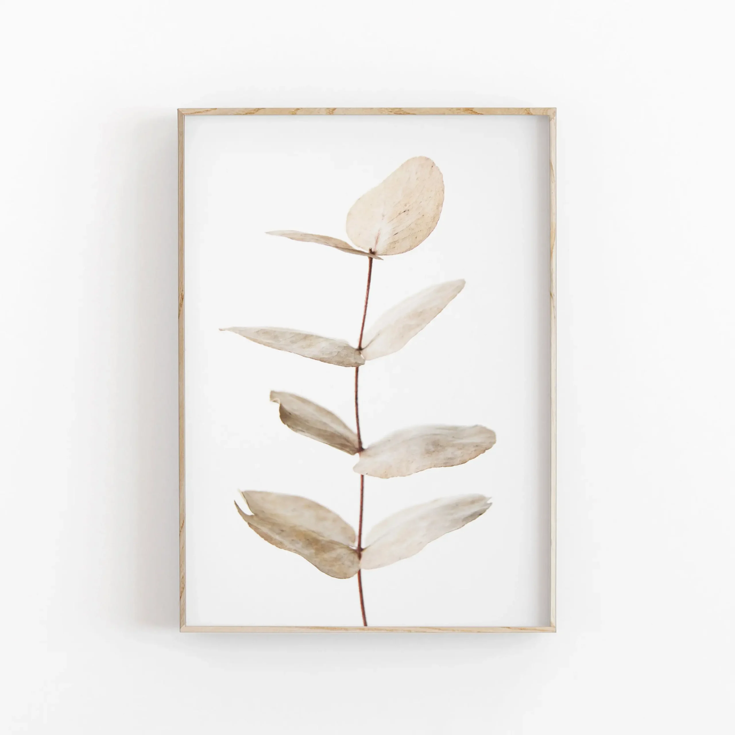 Minimalistyczny plakat botaniczny eukaliptus i palma Biały